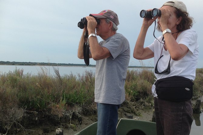 Birdwatching by Boat in a Small Group in the Pialassa Baiona - Directions