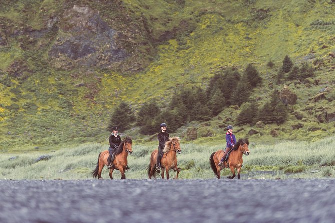 Black Sand Beach Horse Riding Tour From Vik - The Sum Up