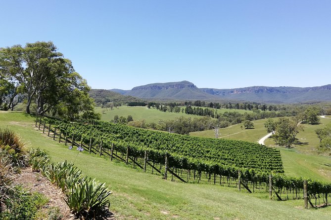 Blue Mountains Day Trip With Wines, Hikes & Lookouts - Common Questions