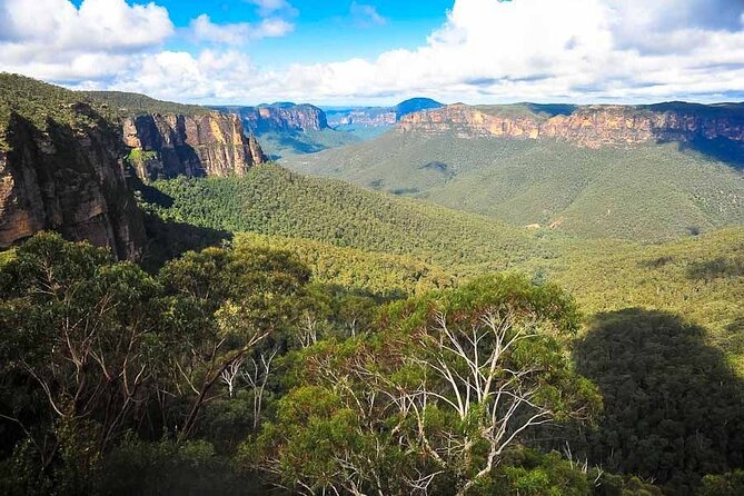 Blue Mountains Private Hiking Tour From Sydney - The Sum Up