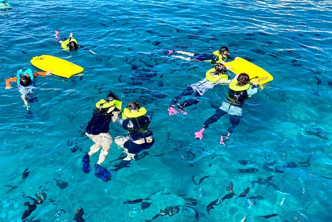 [Blue Ocean Snorkeling] Waikiki Turtle Canyon Snorkeling 6 in 1 - Common Questions