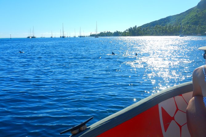 Boat Tour 1/2 Day Excursion in the Lagoon of Moorea - Traveler Photos