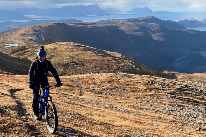 Bodø E-Bike Guided Ride  - Bodo - Common Questions