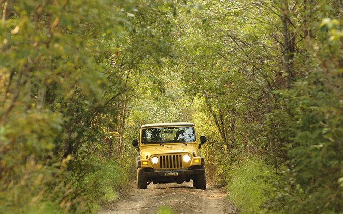 Bodrum Jeep Safari With Lunch - Authentic Reviews and Ratings