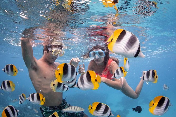 Bora Bora Jet Ski Tour, & Eco Shark / Ray Snorkel Cruise - Recommendations and Tips