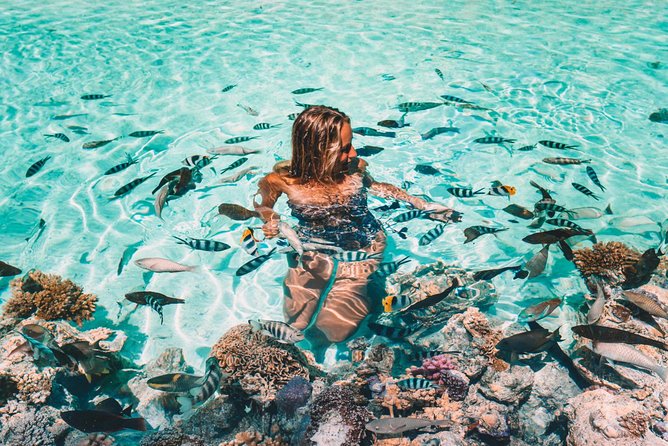 Bora Bora Snorkel Cruise by Polynesian Outrigger Canoe With BBQ Island Lunch - Tips and Recommendations