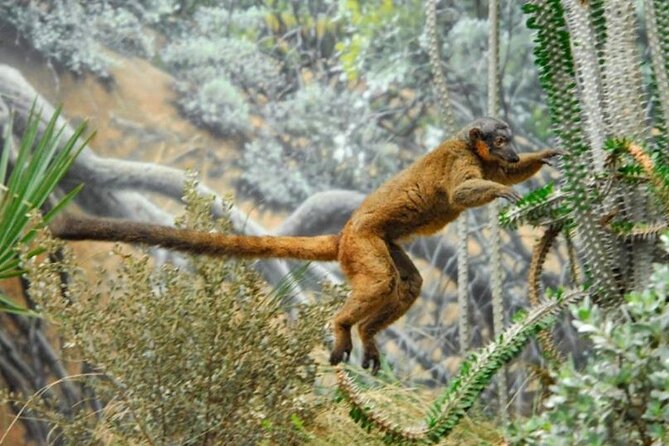 Bronx Zoo Admission Ticket - Plan Your Visit