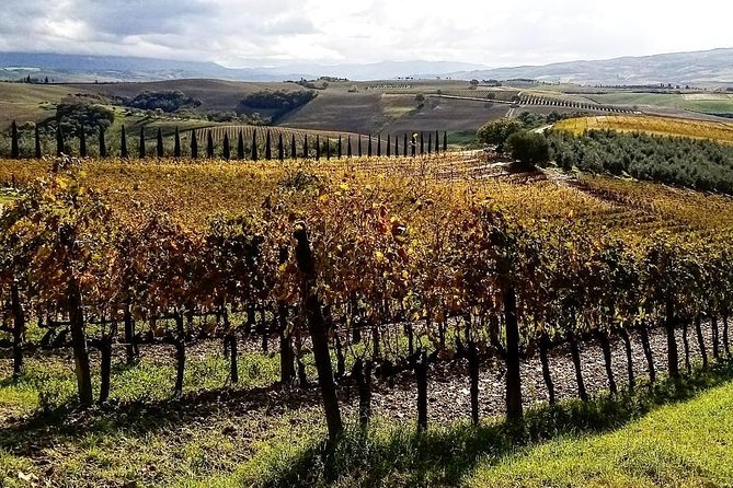 Brunello Wine Tour and Val DOrcia Landscape - Common Questions