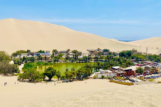 Buggy and Sandboarding Private Service - Safety Measures