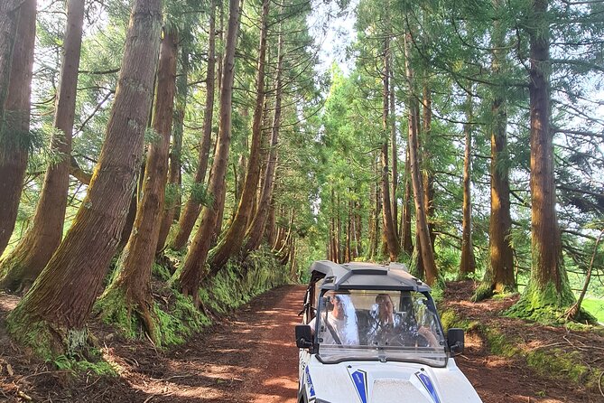 BUGGY TOUR - West / Center of the Island (Off-Road) - Questions and Pricing