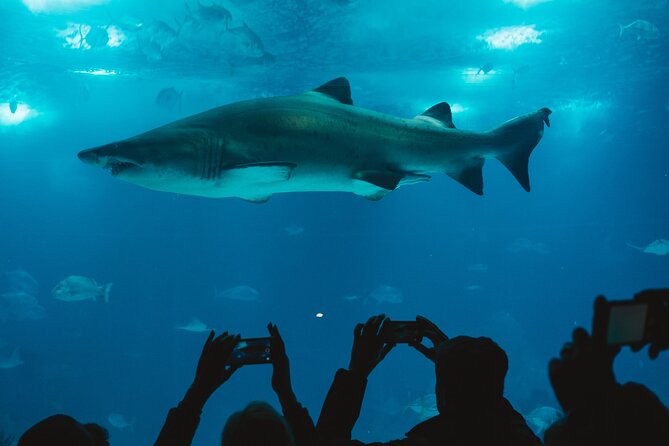 Burj Khalifa and Dubai Aquarium Combo Admission Ticket - Common Questions