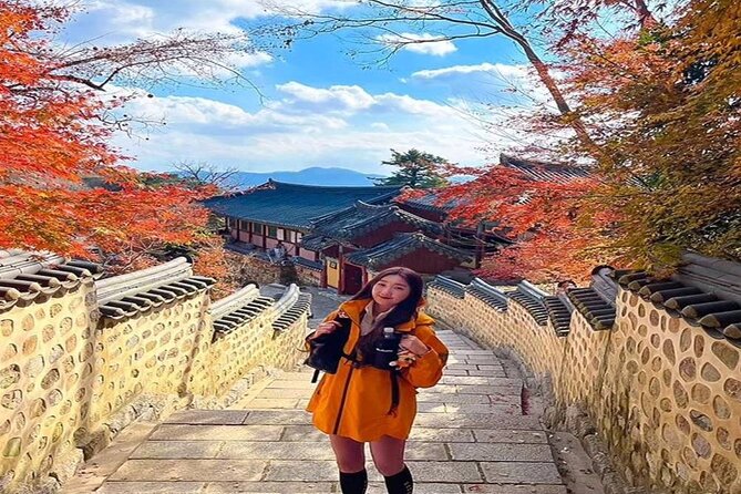 Busan Private Hiking Tour : Panoramic Views Awaits - How to Book Your Busan Private Hiking Tour