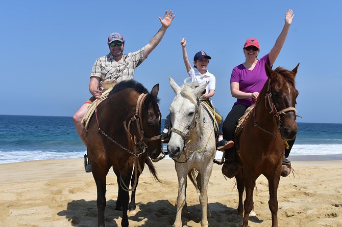 Cabo Desert ATV & Beach Horseback Combo and Tequila Tasting - The Sum Up