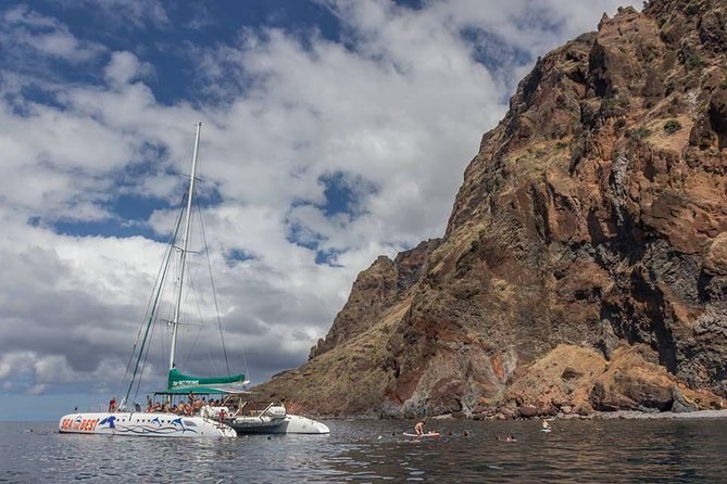 Cabo Girão SkywalkVineyardsWine Tasting in 4x4 Tour Dolphin Watching - Common Questions