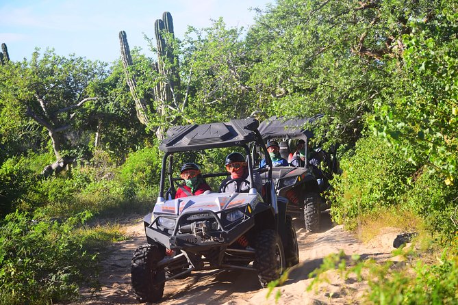 Cabo Migrino Beach & Desert Tour (Triple UTV) - How to Book and Prepare