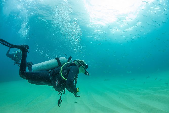 Cabo San Lucas 2 Tank Customized Dive Certified Only - Common Questions