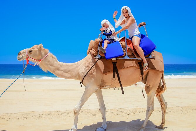 Cabo San Lucas Baja Desert Camel Ride - Additional Information and Cancellation Policy