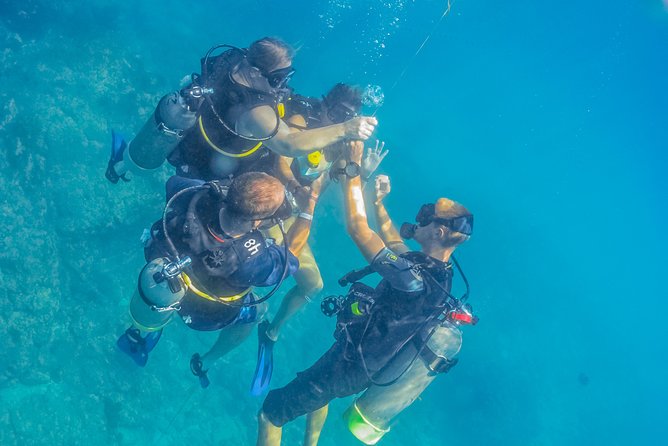 Cabo San Lucas Beginner Scuba Diving Experience - The Sum Up