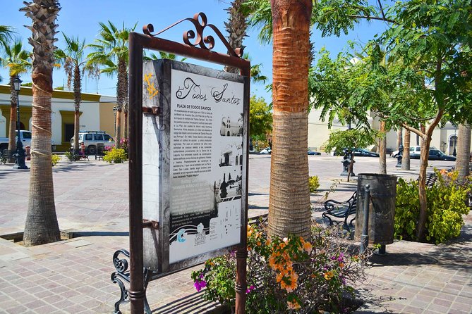 Cabo San Lucas Private Full-Day Sightseeing Jeep Tour - Punta Lobos Beach