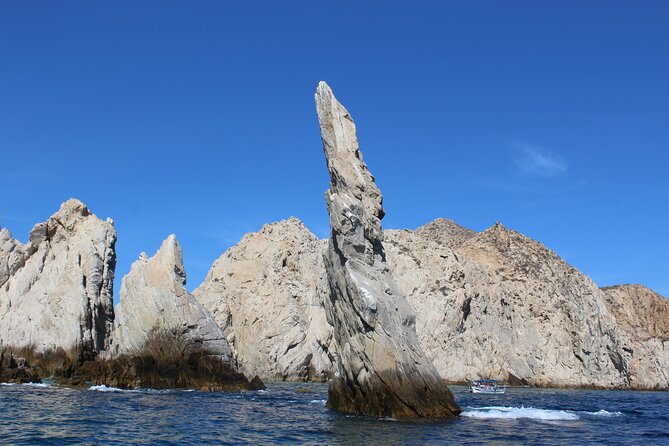 Cabo San Lucas Whale Watching Tour All Included - Important Considerations