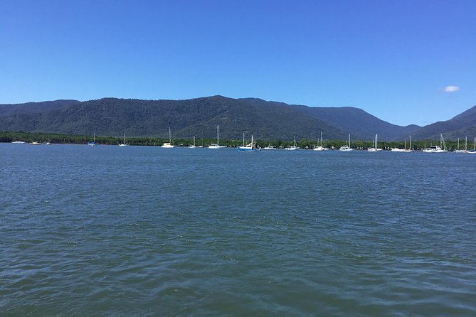 Cairns City Tour - Terms and Conditions