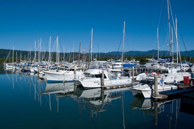 Cairns Reef/Rainforest : Daintree Rainforest & Great Barrier Reef - Introductory Scuba Dive Experience