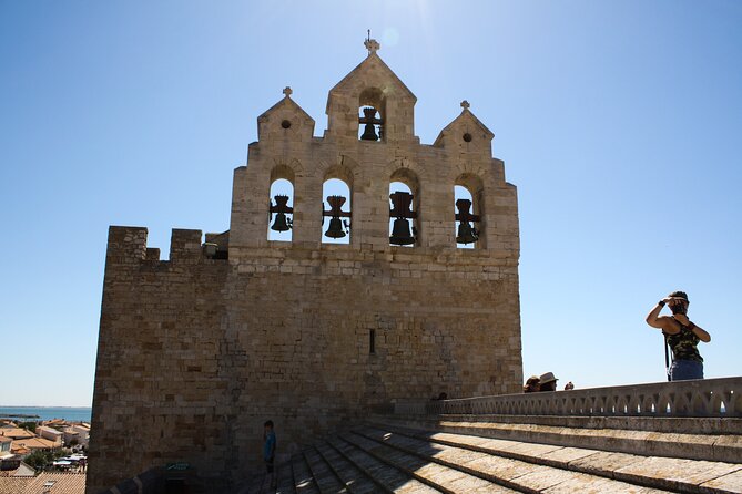 Camargue Small-Group Day Trip From Avignon - Small Group Day Trip From Avignon