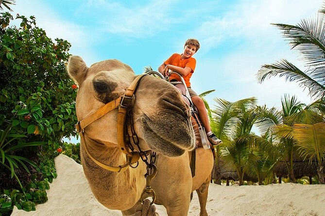 Camel Caravan Expedition and Beach Club With Transportation in Riviera Maya - The Sum Up