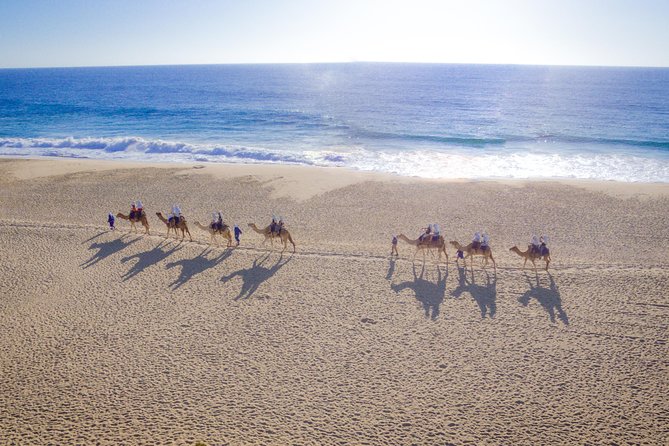 Camel Outback Adventure With Mexican Buffet and Tequila Tasting - The Sum Up
