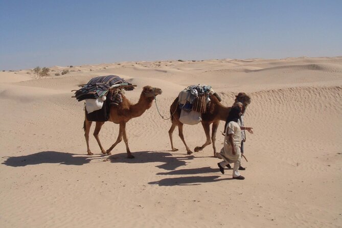 Camel Ride and 1 Night in the Desert - Common Questions
