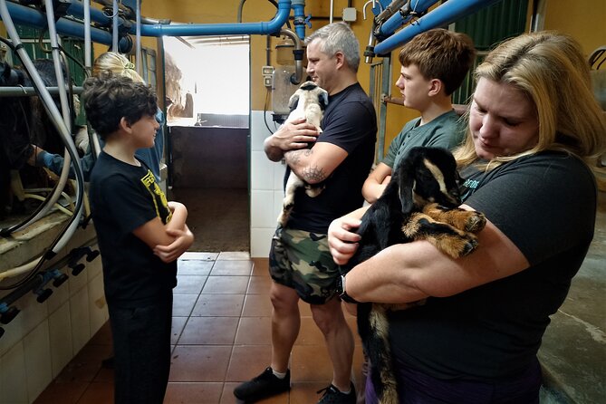 Canarian Animal Farm Car Tour. Goat Cheese and Local Wine. - Common Questions