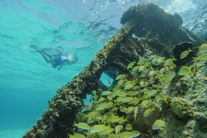 Cancun Snorkeling Adventure: Underwater Museum, Reef & Shipwreck - The Sum Up