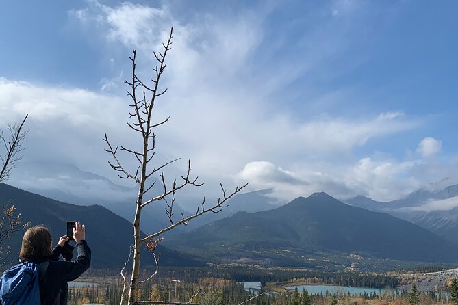 Canmore: Into the Mountains - 4hr Wildlife Safari Drive & Walk - Wildlife Safari Drive