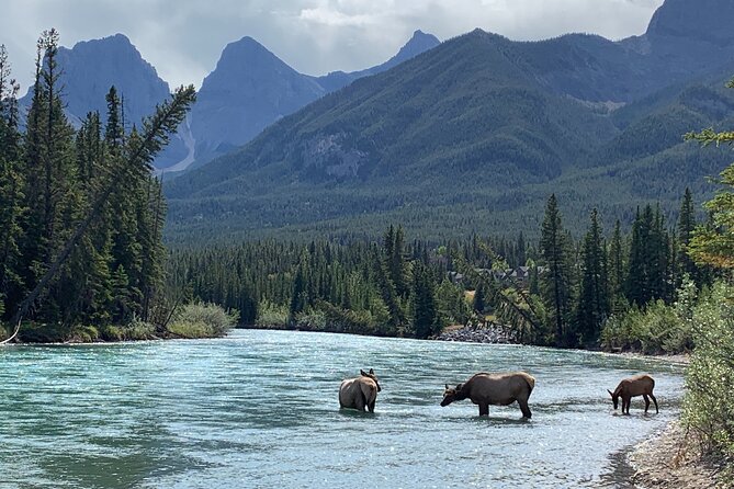 Canmore: Private Historical Walking Tour - Cancellation Policy