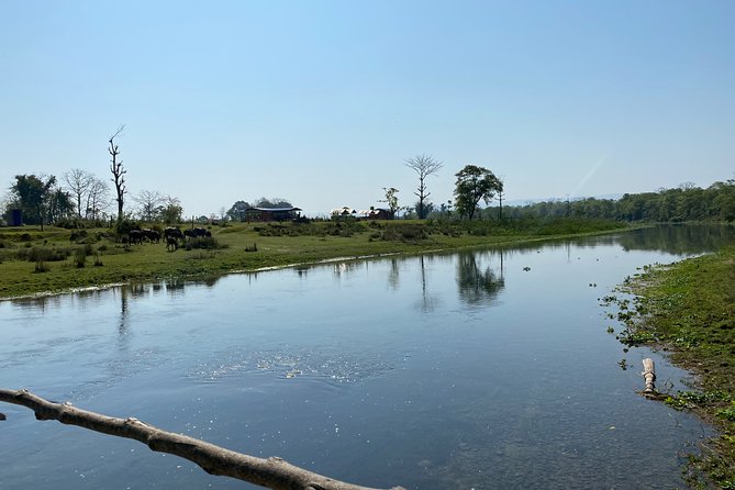 Canoeing and Nature Walk in Chitwan National Park - Common Questions