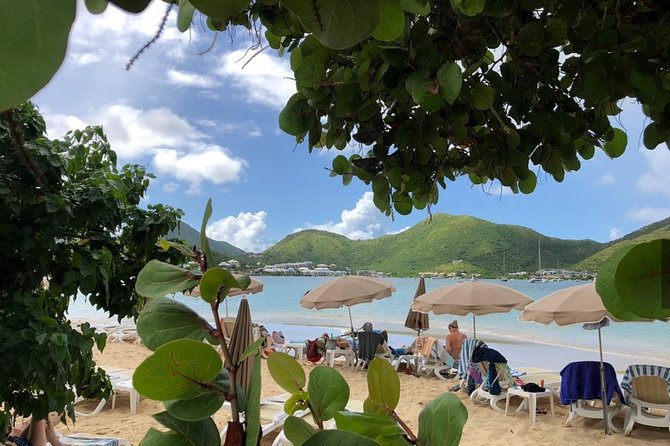 CAPTAIN ALANS 4hr -3 Islands-snorkeling-turtles-beach ADVENTURE - Positive Customer Feedback