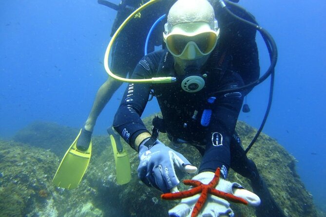 Catania: Scuba Diving Experience - The Sum Up