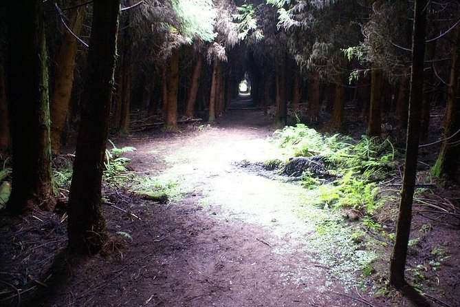 Cave Tour in Terceira - Reviews and Ratings
