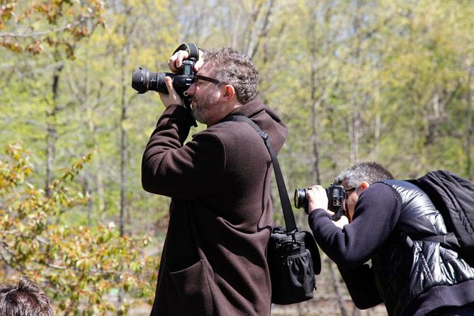 Central Park Photography Tour With Local Photographer - Iconic Photos of Central Park