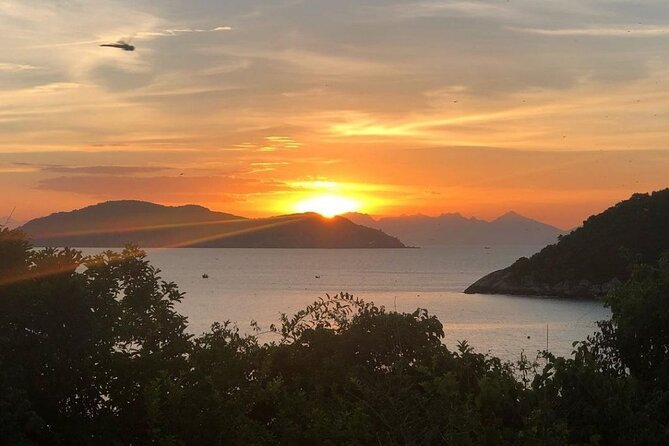 Cham Island Daily Tour - Snorkeling Experience - Additional Information and Directions