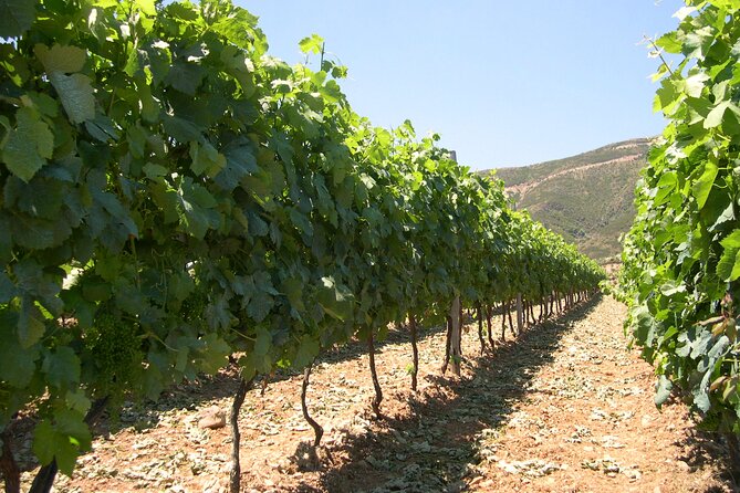 Chania Premium Sunset Safari Tour - The Sum Up