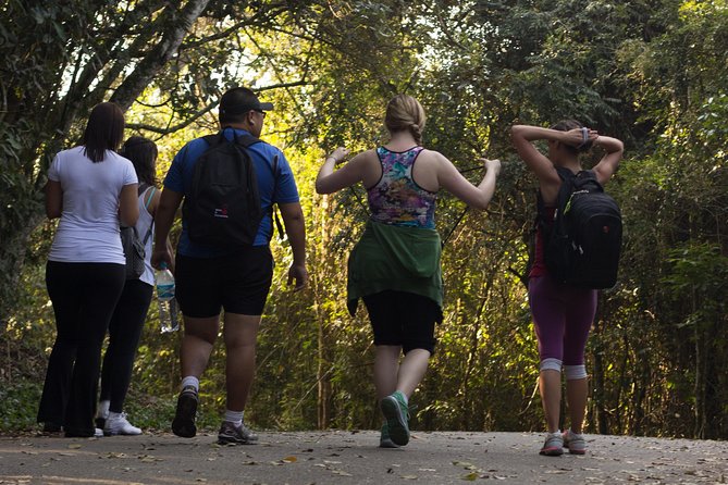 Chiang Mai: 3-Day Jungle Trek With Karen Hill Tribe Stay - The Sum Up