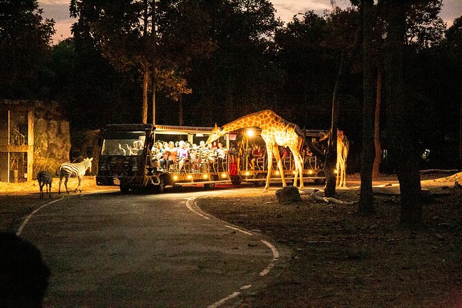 Chiang Mai Night Safari Ticket - Common Questions
