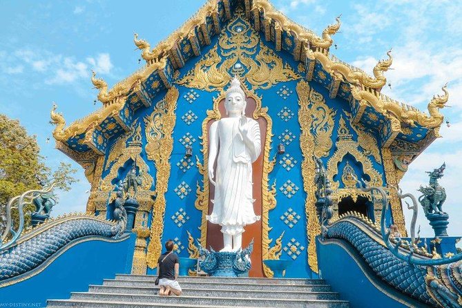 Chiang Rai Food & Night Market Walking Tour With Local Host - Insider Tips and Recommendations