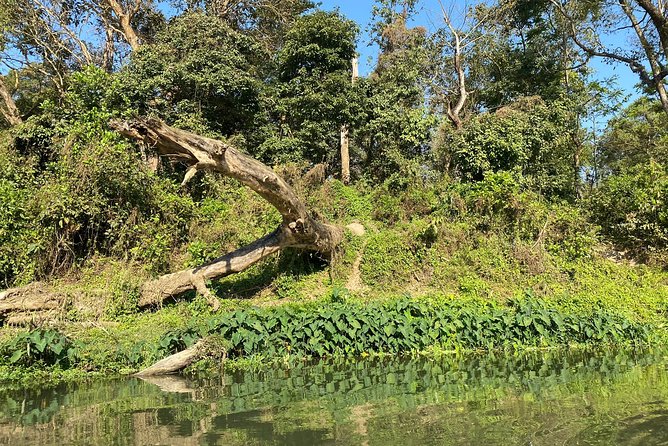 Chitwan Jungle Safari With Overnight Stay - Safari Packages and Pricing Options