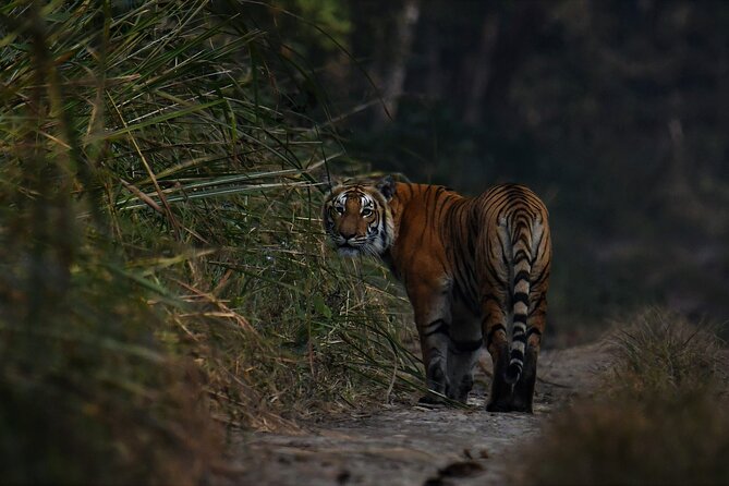 Chitwan Tour Packages - Common Questions