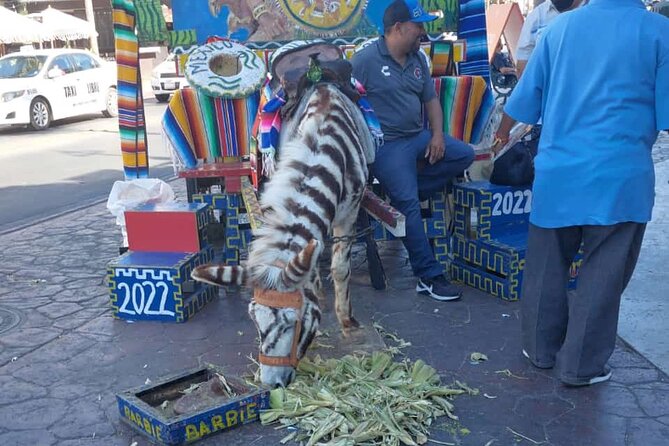 City Tour Tijuana & the Best Tacos El Franc - Tijuana Highlights and Landmarks