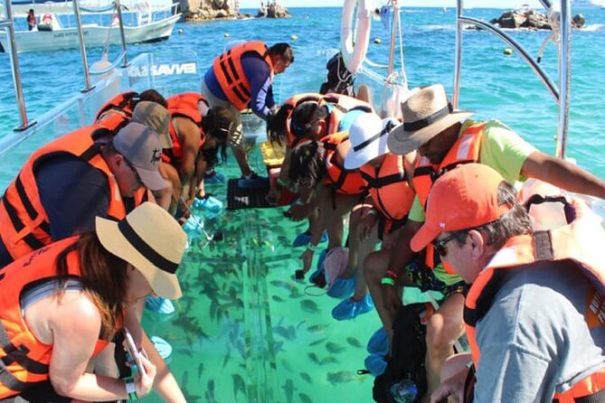 Clear Boat With City Tour - Boat Cruise Highlights