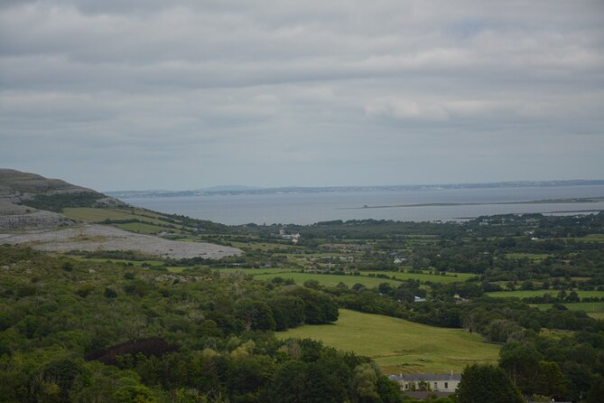 Cliffs of Moher and Wild Atlantic Way Private Chauffeur-Driven Tour From Galway - Terms & Conditions