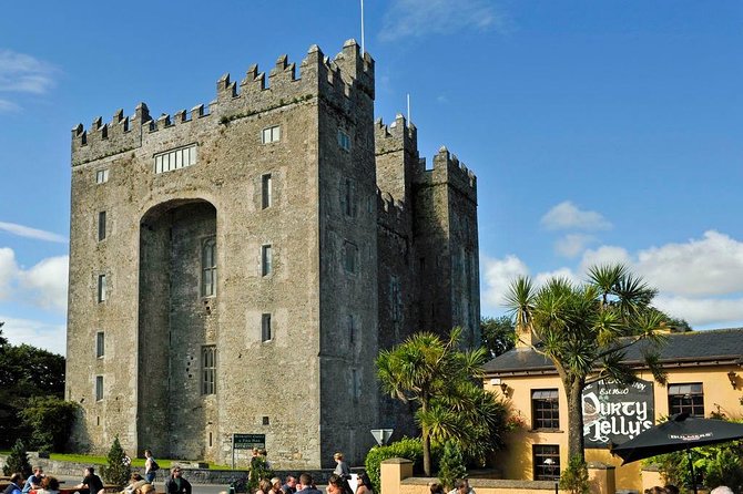 Cliffs of Moher Private Full Day Tour From Dublin - Common Questions